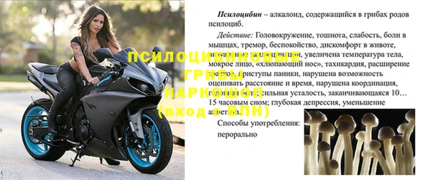 скорость Коряжма