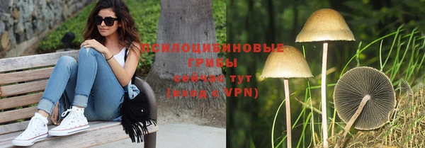 хмурый Костерёво